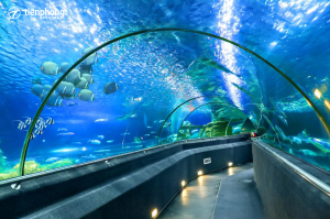 21 điểm du lịch nha trang