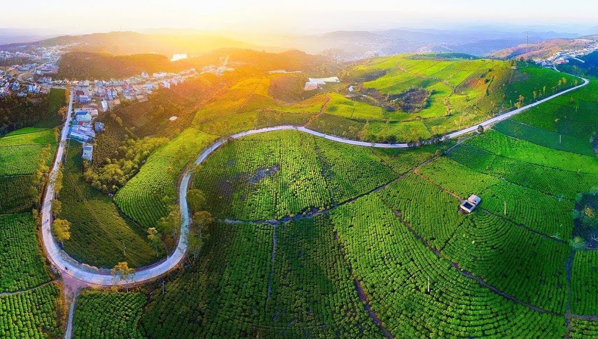 ảnh du lịch đà lạt - Hình 3