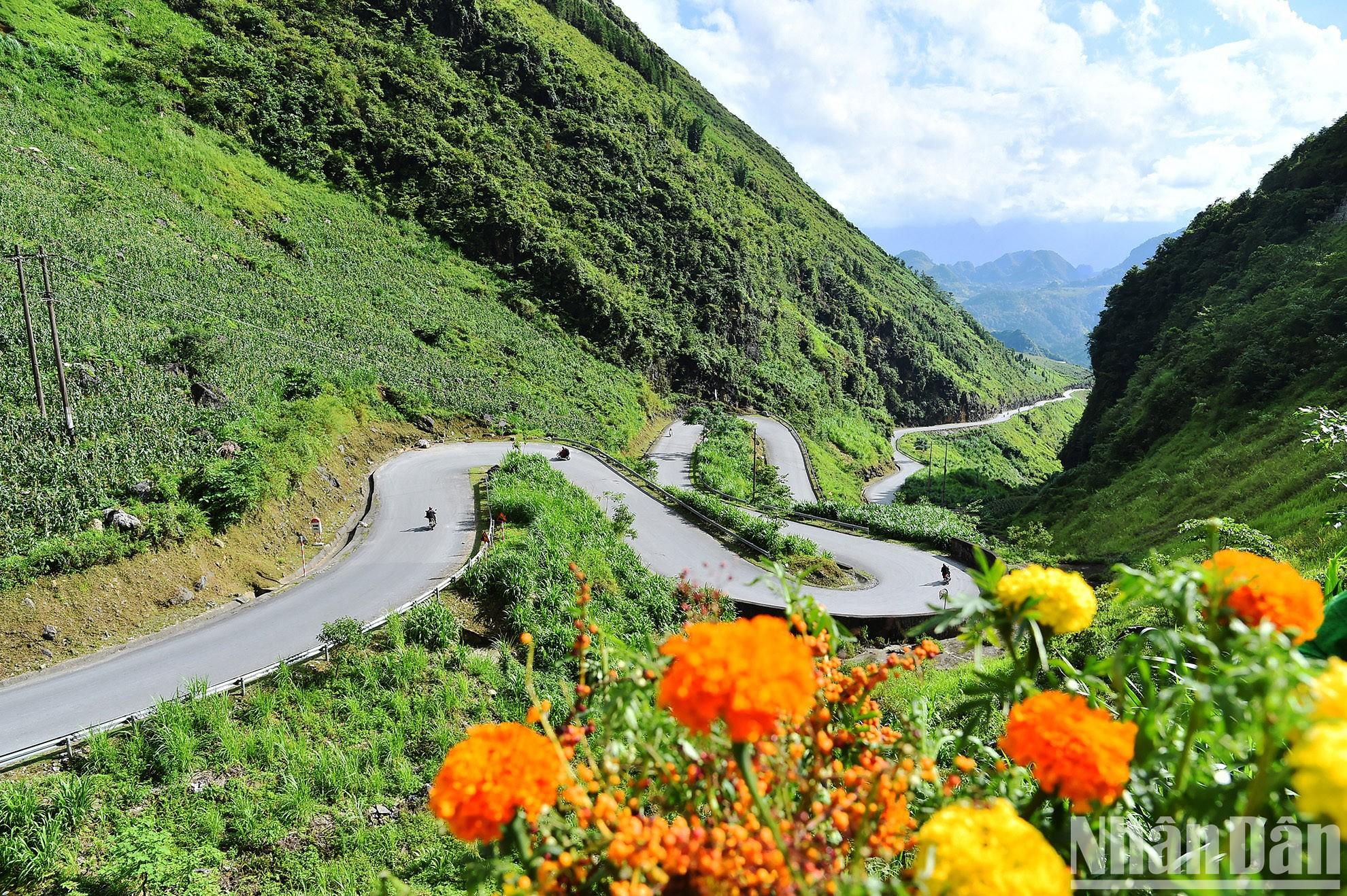 ảnh du lịch hà giang - Hình 5
