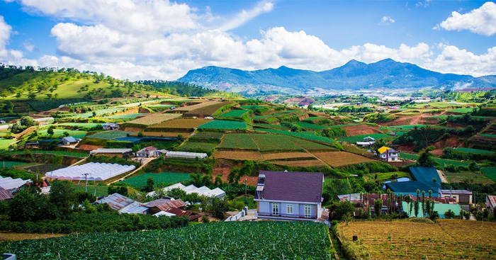 bài văn kể về chuyến đi du lịch đà lạt ngắn gọn - Hình 3