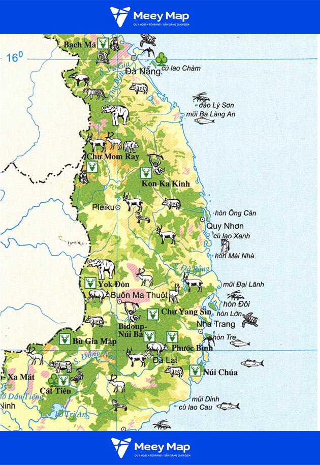 bản đồ du lịch - Hình 5
