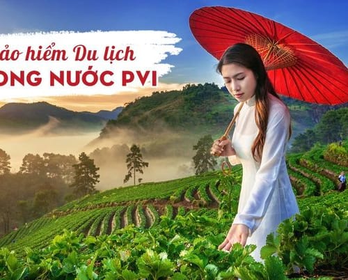 bảo hiểm du lịch trong nước - Hình 3