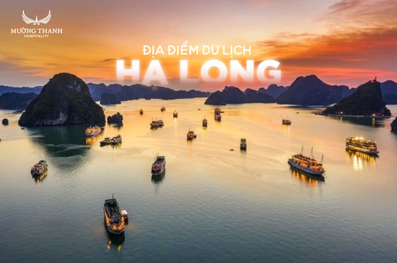 các điểm du lịch hạ long - Hình 5