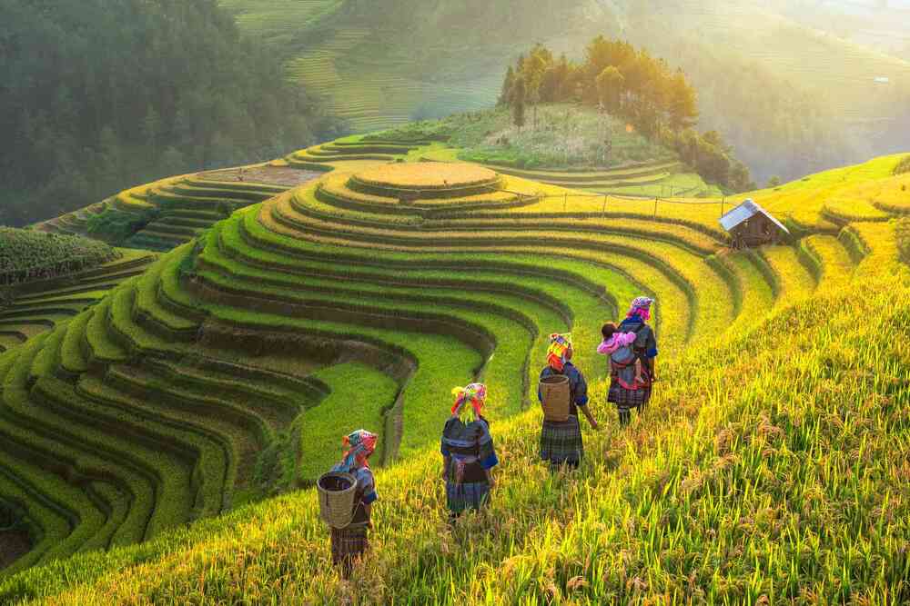 các điểm du lịch ở sapa - Hình 4