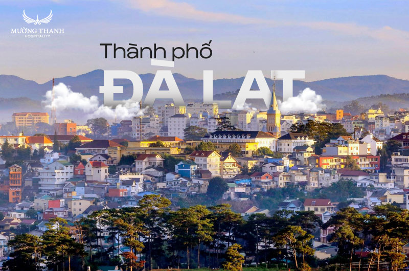 cẩm nang du lịch đà lạt - Hình 3