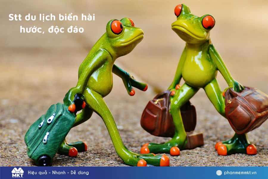 caption du lịch hài hước - Hình 3
