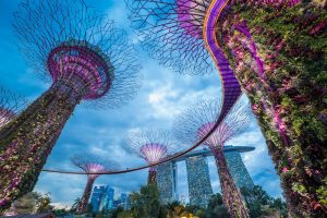 chi phí du lịch singapore tự túc
