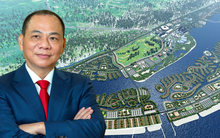 công ty cổ phần đô thị du lịch cần giờ - Hình 4