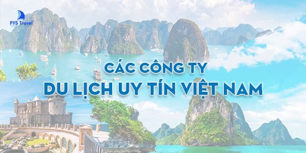 công ty du lịch p - Hình 4