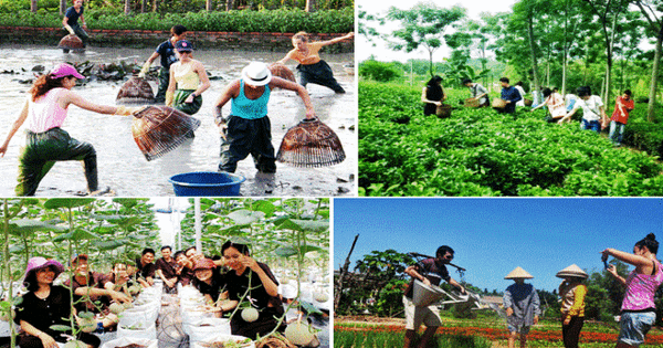 đa dạng hóa loại hình du lịch - Hình 3