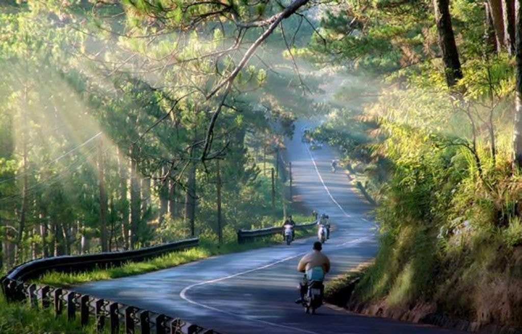 đà lạt - thiên đường du lịch - Hình 3