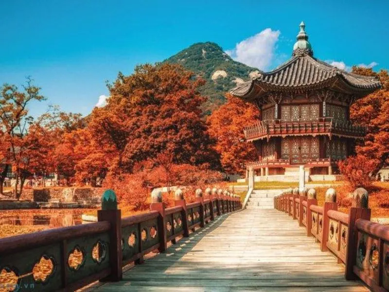 đi du lịch hàn quốc cần những gì? - Hình 4