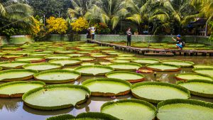địa điểm du lịch đồng tháp