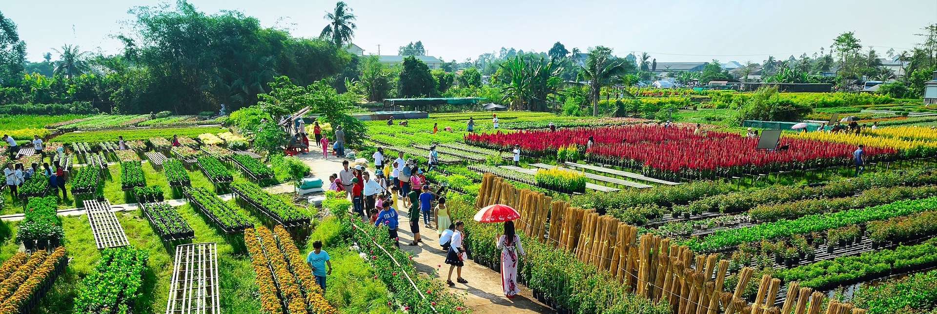 địa điểm du lịch đồng tháp - Hình 5