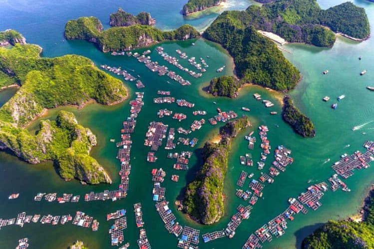 điểm du lịch cát bà - Hình 4