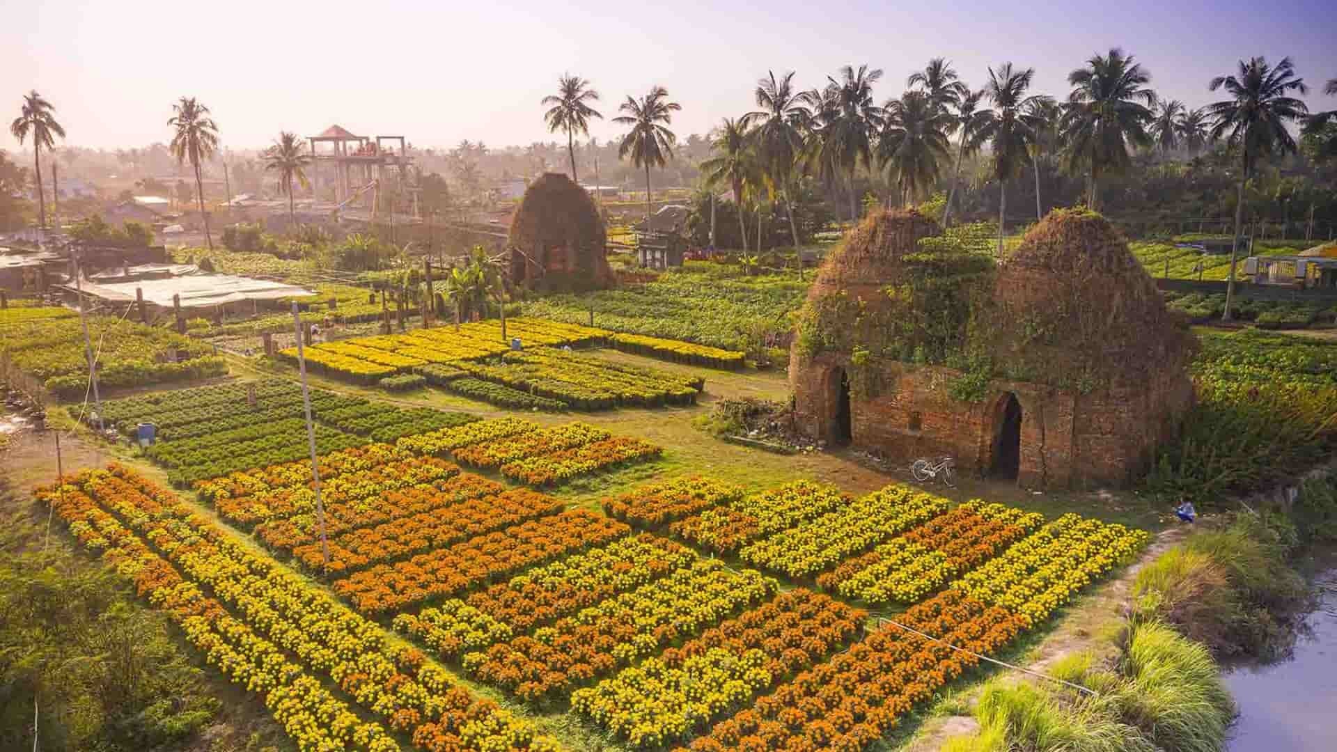 điểm du lịch đồng tháp - Hình 5