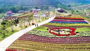 điểm du lịch mộc châu sơn la