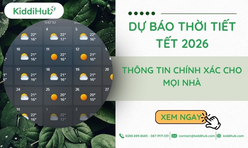 dự báo thời tiết tết ấm lịch 2026 miền bắc - Hình 3