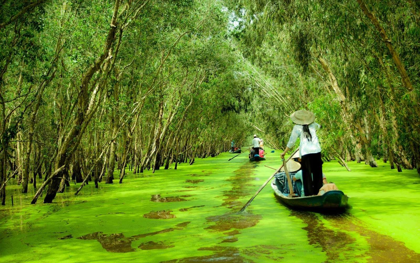 du lịch an giang - Hình 2