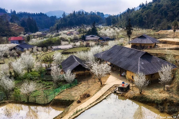du lịch bắc hà - Hình 2