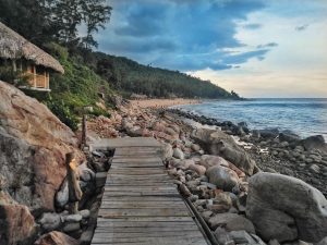 du lịch bãi đông thanh hóa