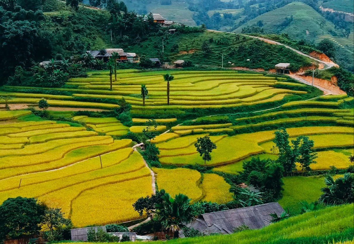 du lịch bản liền - Hình 2