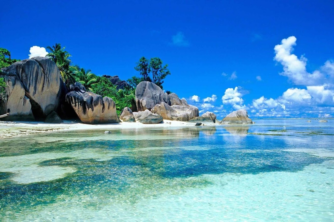 du lịch biển quỳnh - Hình 5