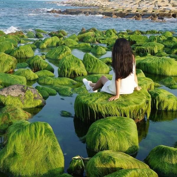 du lịch bình thuận có gì - Hình 1