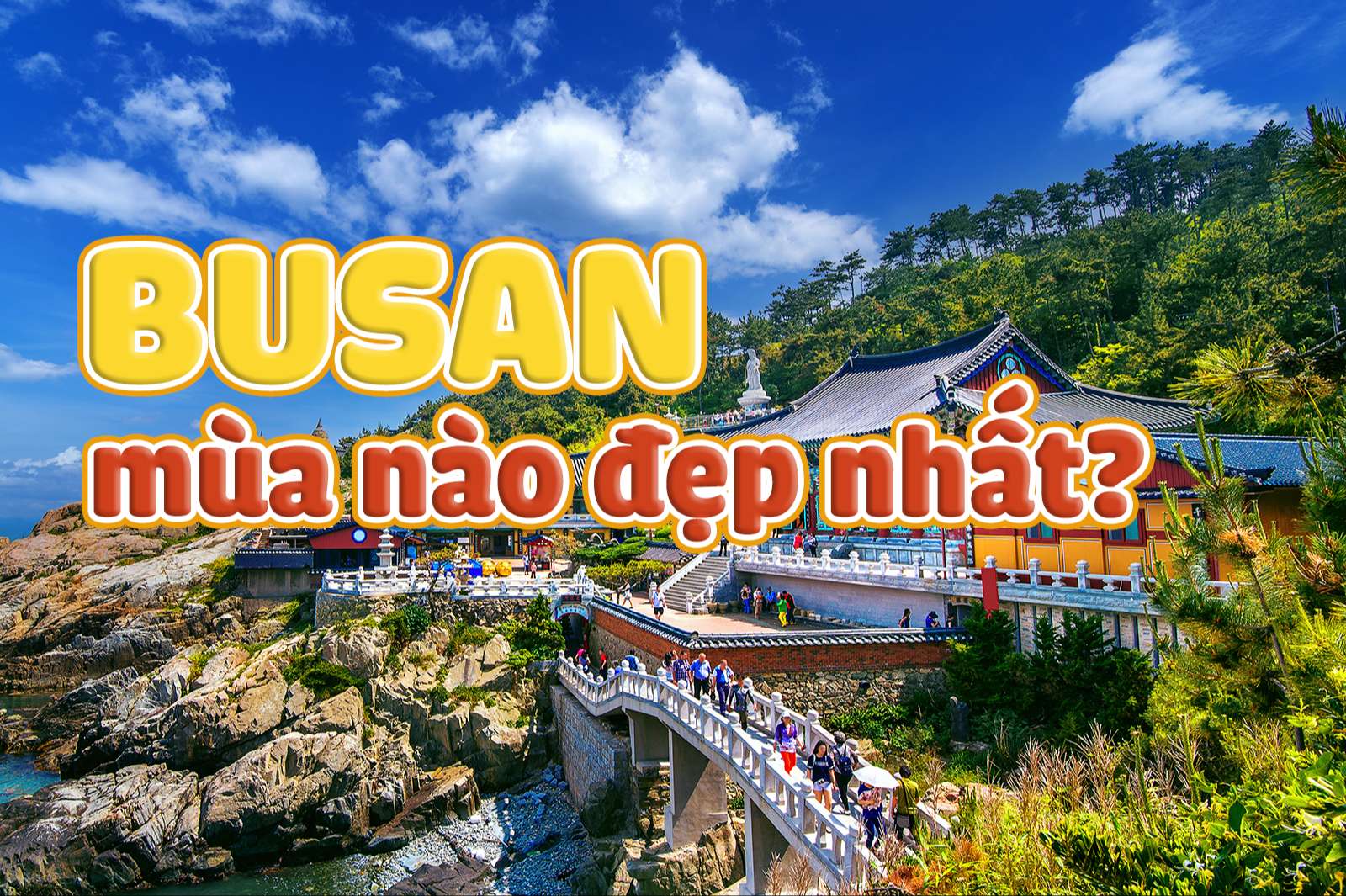 du lịch busan - Hình 5