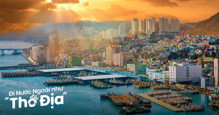 du lịch busan - Hình 1