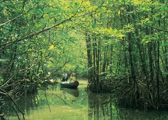 du lịch cần giờ 1 ngày - Hình 4