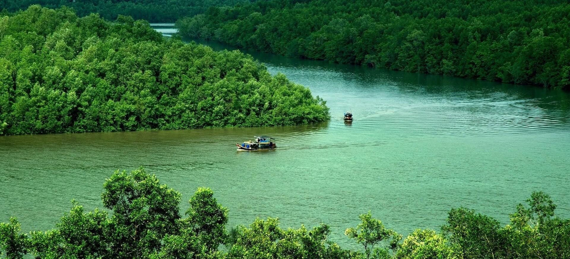 du lịch cần giờ - Hình 4