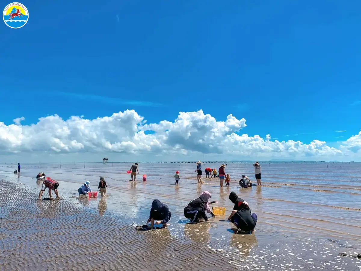 du lịch cần giờ trong ngày - Hình 2