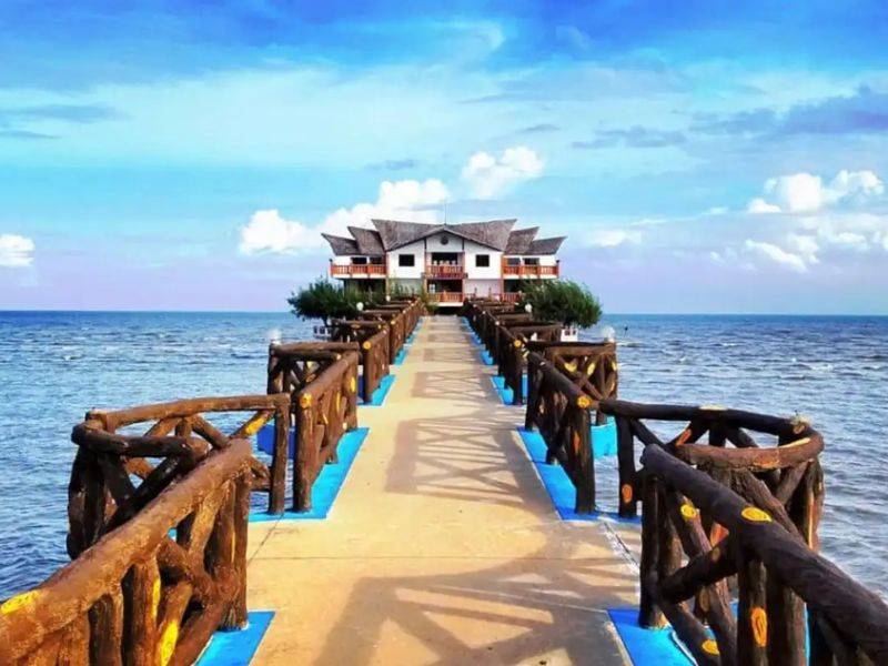 du lịch cần giờ trong ngày - Hình 5