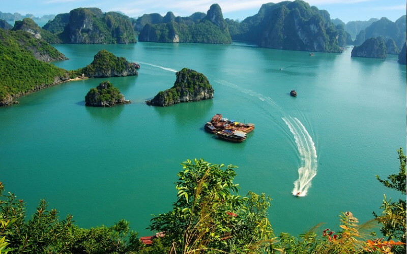 du lịch cát bà 3 ngày 2 đêm tự túc - Hình 5