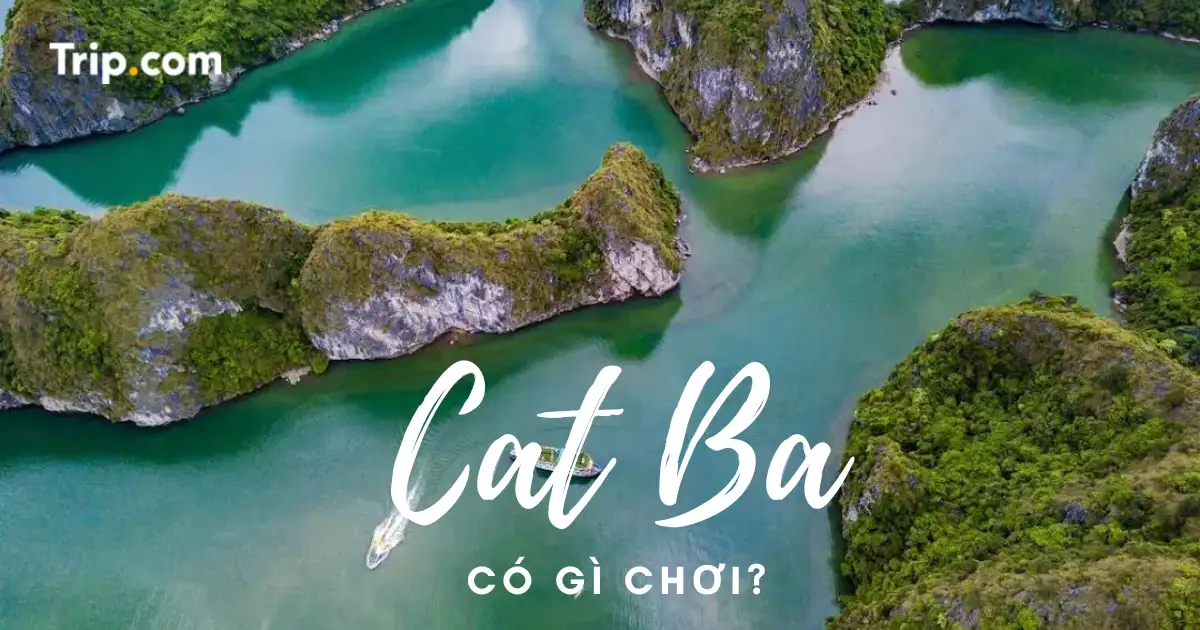 du lịch cát bà có gì - Hình 4