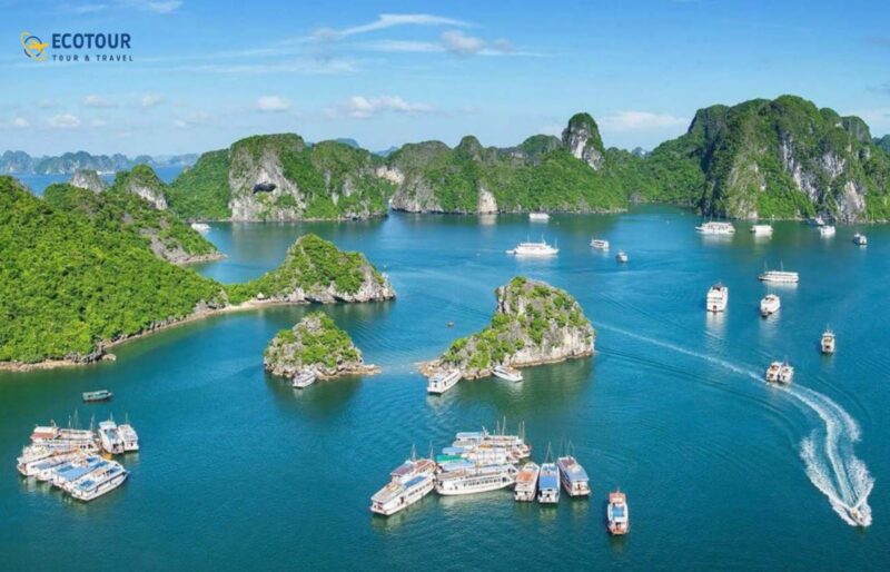 du lịch cát bà tự túc 2 ngày 1 đêm - Hình 4