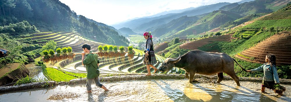du lịch có trách nhiệm - Hình 4