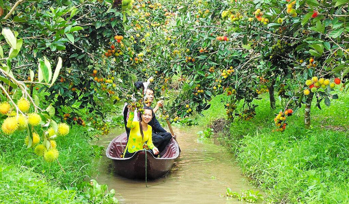 du lịch cồn sơn cần thơ - Hình 5