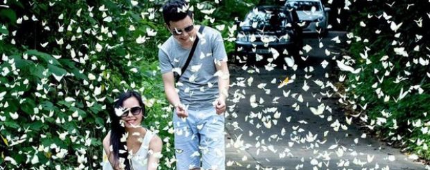 du lịch cúc phương 2 ngày 1 đêm - Hình 4