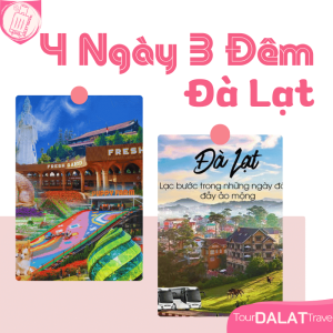 du lịch đà lạt tour đà lạt travel