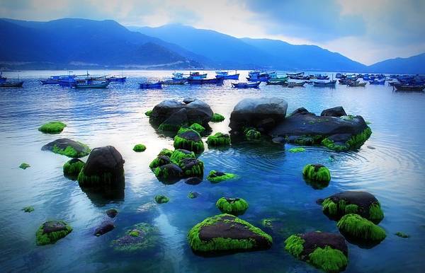 du lịch đảo bình hưng - Hình 4