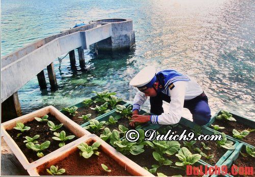 du lịch đảo trường sa tự túc - Hình 4