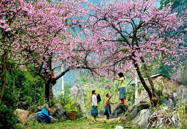 du lịch điện biên mùa nào đẹp - Hình 1