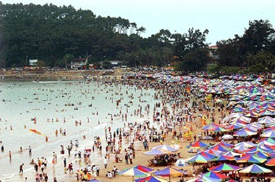 du lịch đồ sơn 2 ngày 1 đêm - Hình 4