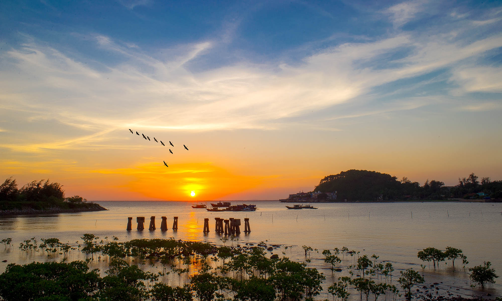 du lịch đồ sơn hải phòng - Hình 4