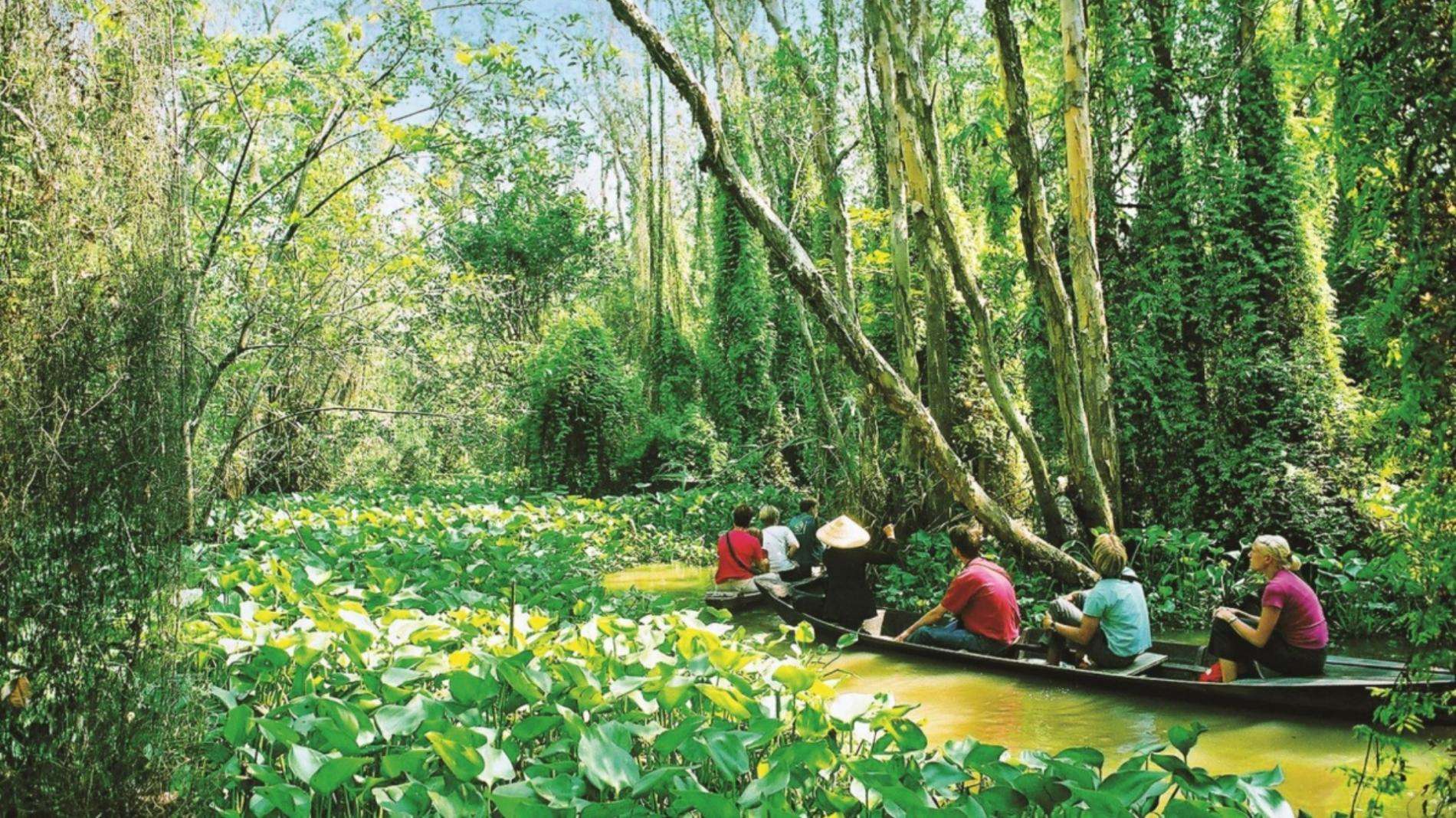 du lịch đồng tháp - Hình 3