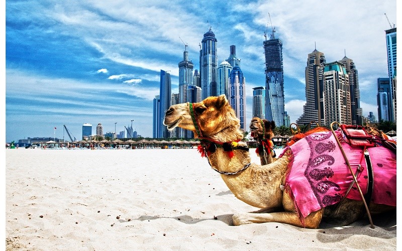du lịch dubai - Hình 5