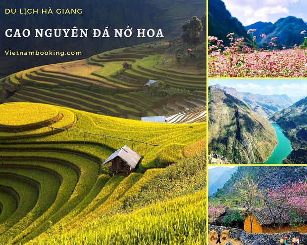 du lịch hà giang mùa nào đẹp - Hình 2