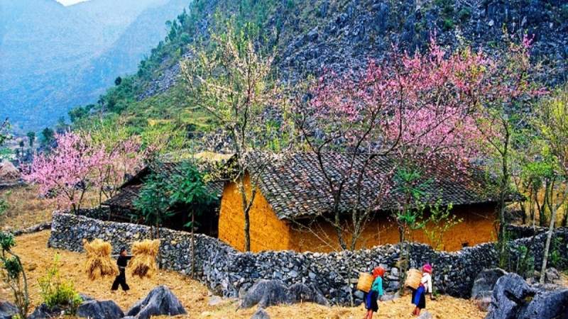 du lịch hà giang mùa nào đẹp - Hình 5